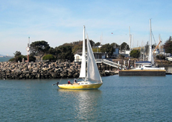 SFsail