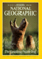 magazine cover